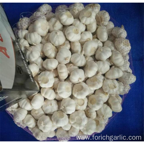 Pure White Garlic Fresh New Crop 2019